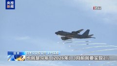 日本国会议员：日本必须走和平外交之路